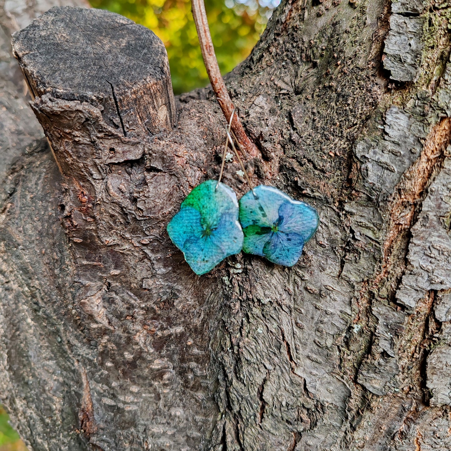 Висящи обеци от синьо-зелена хортензия